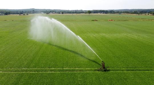 Megvan a döntés: 21,2 milliárd forintot osztanak szét öntözésre, és ez még csak a kezdet