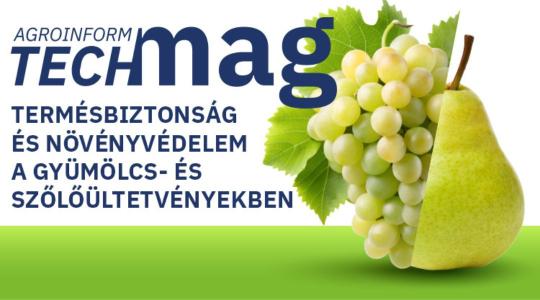 Termésbiztonság és növényvédelem a gyümölcs- és szőlőültetvényekben – itt az új Agroinform TechMag!