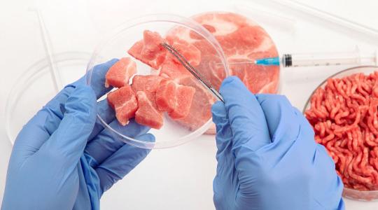 Vége a műsteakek korának? Nagy változás jöhet az EU-ban