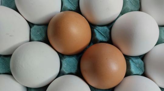 Egészségesebb a barna tojás? A válasz sokakat meglep