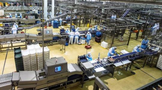 Ha nincs ember, nincs termelés – 350 milliárdos fejlesztésre készül a Master Good Ha nincs ember, nincs termelés – 350 milliárdos fejlesztésre készül a Master Good