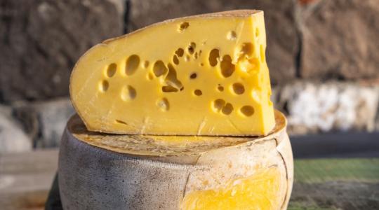 Beütött a vámsokk: kevesebb tejet vásárolnak fel a sajtüzemek Beütött a vámsokk: kevesebb tejet vásárolnak fel a sajtüzemek